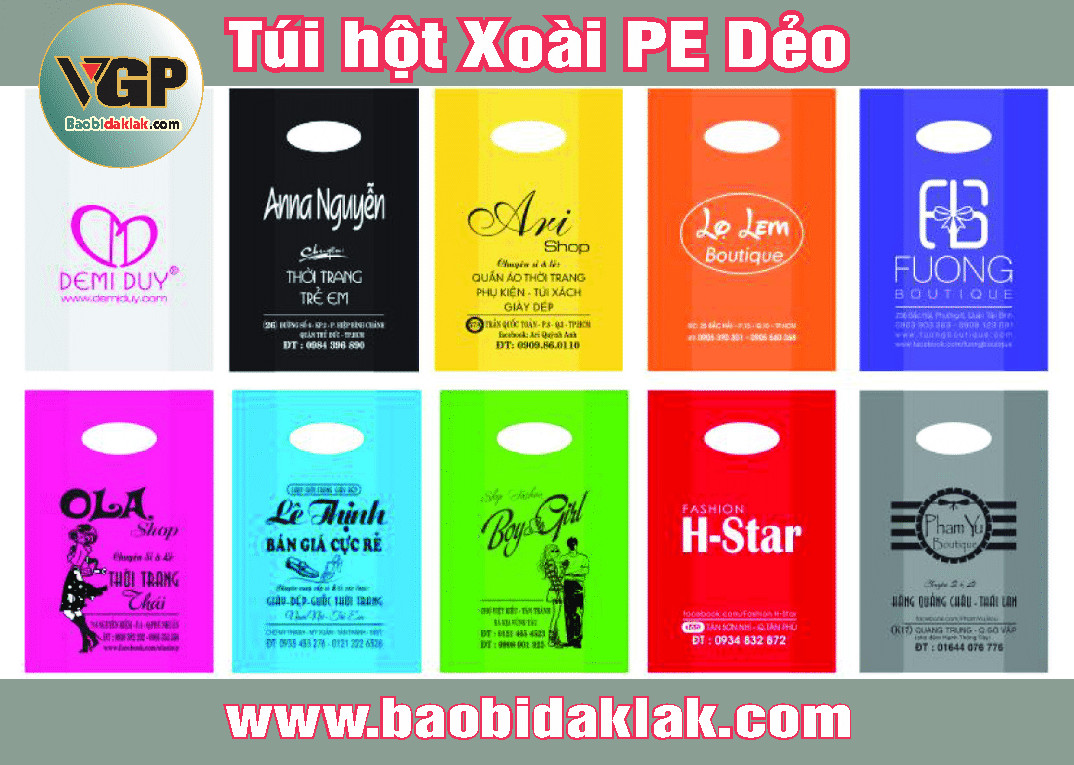 Túi hột xoài Buôn Ma Thuột