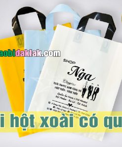 Túi hột xoài có Quai