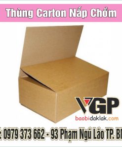 Thùng carton nắp chồm BMT