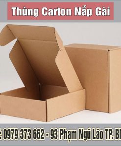 Thùng carton nắp gài Buôn Ma Thuột