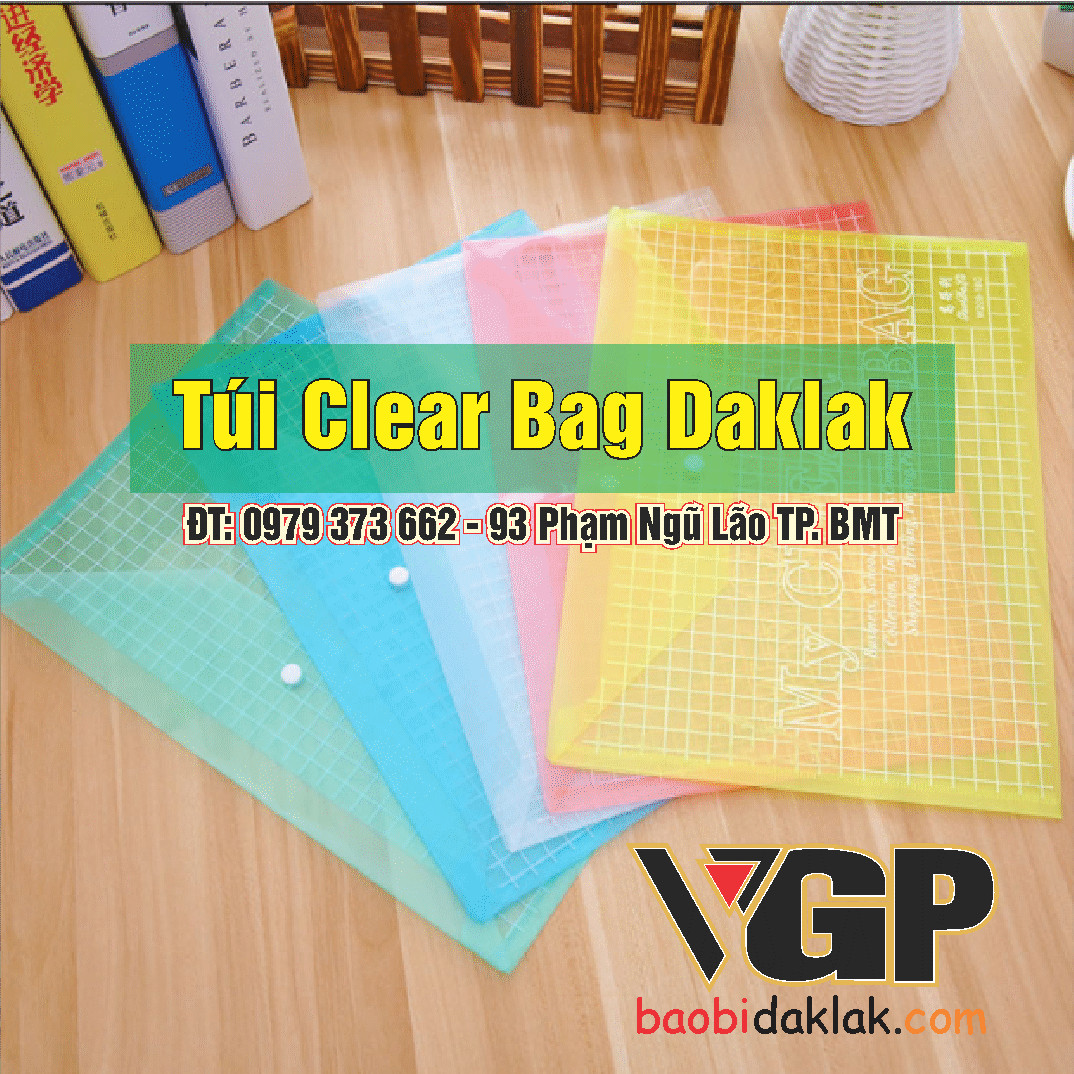Túi clear Bag Daklak