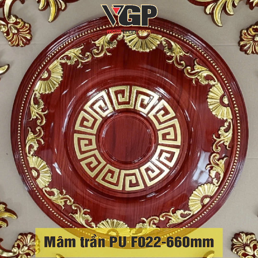 Mâm Trần nhựa PU BMT F022 660 Daklak